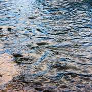 Raindrops keep fallin