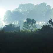 Fog of War