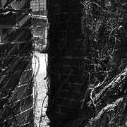 the Back Door