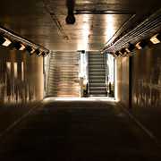 the Light at the End