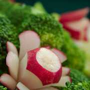 The Radish Has Landed