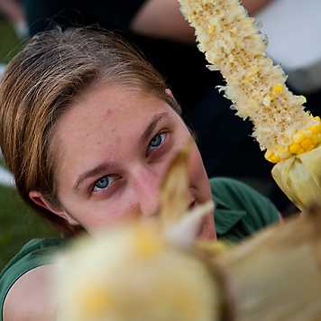 Corn! On the Cob!